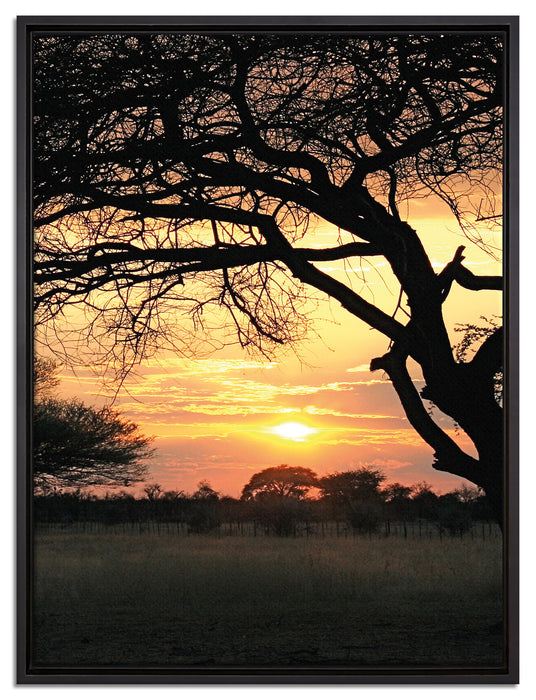 Savanne im Dämmerlicht auf Leinwandbild gerahmt Größe 80x60