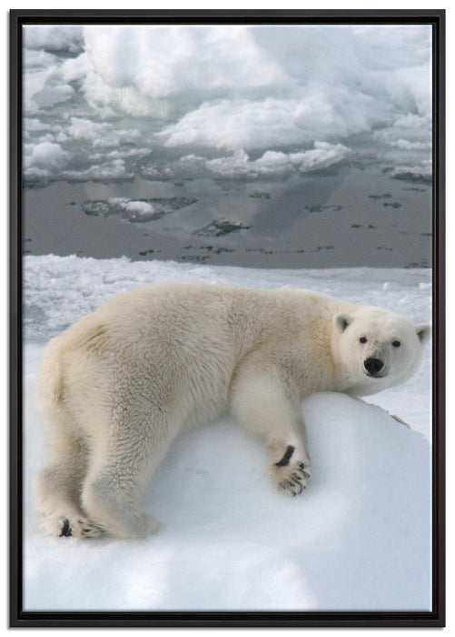 Eisbär auf Eisberg auf Leinwandbild gerahmt Größe 100x70