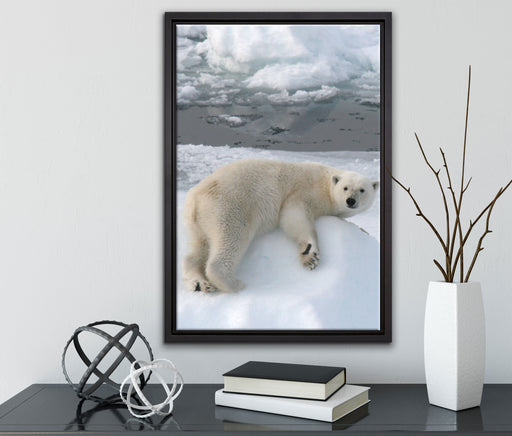 Eisbär auf Eisberg auf Leinwandbild gerahmt mit Kirschblüten