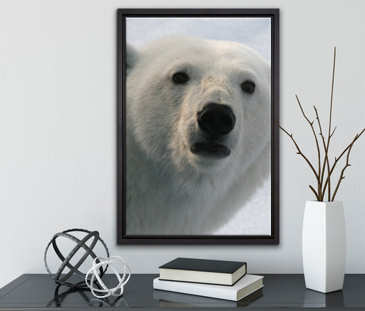 wachsamer Eisbär auf Leinwandbild gerahmt mit Kirschblüten