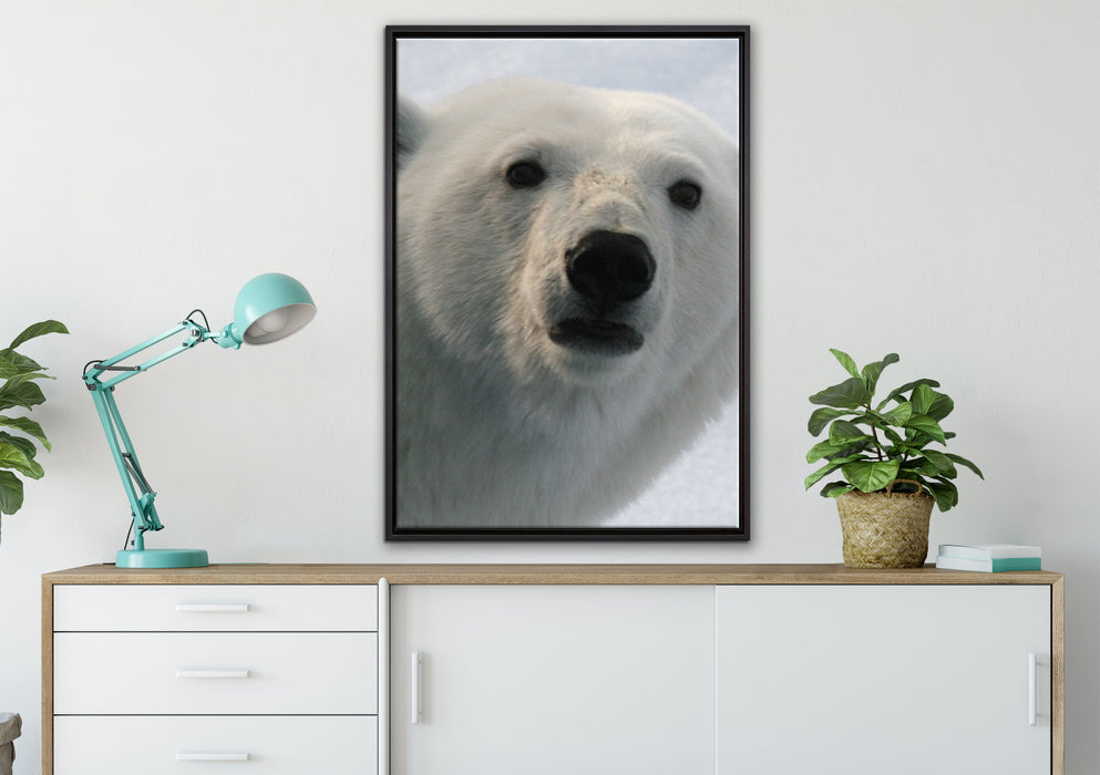 wachsamer Eisbär auf Leinwandbild gerahmt verschiedene Größen im Wohnzimmer