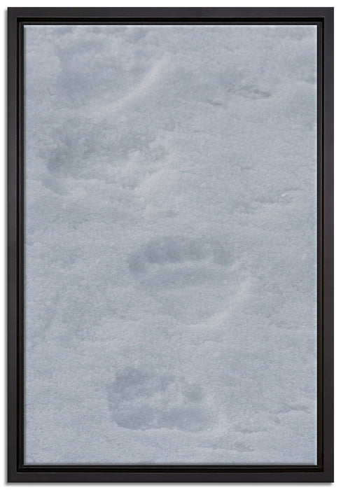 Tierspuren im Schnee auf Leinwandbild gerahmt Größe 60x40