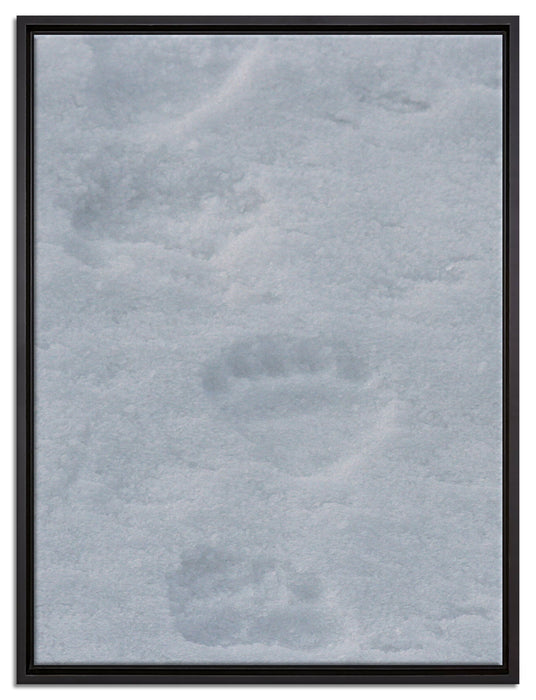 Tierspuren im Schnee auf Leinwandbild gerahmt Größe 80x60