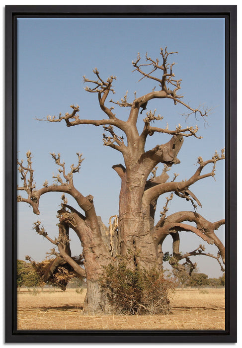 vertrockneter Baum in der Savanne auf Leinwandbild gerahmt Größe 60x40