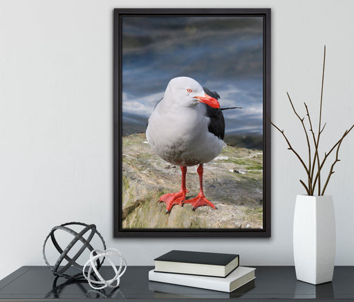 kleine Möwe auf Felsbrocken auf Leinwandbild gerahmt mit Kirschblüten