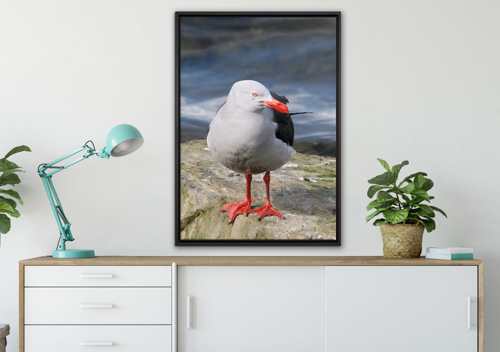 kleine Möwe auf Felsbrocken auf Leinwandbild gerahmt verschiedene Größen im Wohnzimmer