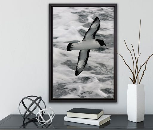 prächtige Möwe fliegt über Wasser auf Leinwandbild gerahmt mit Kirschblüten