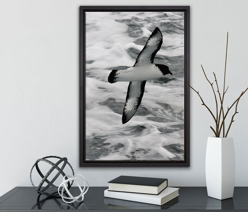 prächtige Möwe fliegt über Wasser auf Leinwandbild gerahmt mit Kirschblüten