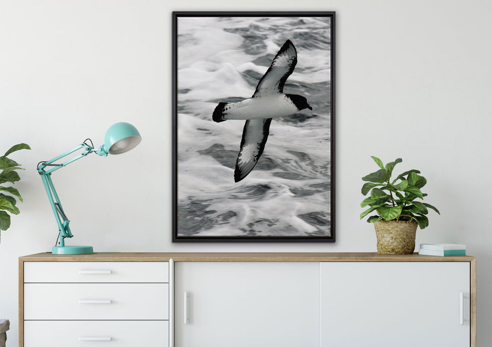 prächtige Möwe fliegt über Wasser auf Leinwandbild gerahmt verschiedene Größen im Wohnzimmer