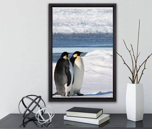 Kaiserpinguine auf Leinwandbild gerahmt mit Kirschblüten