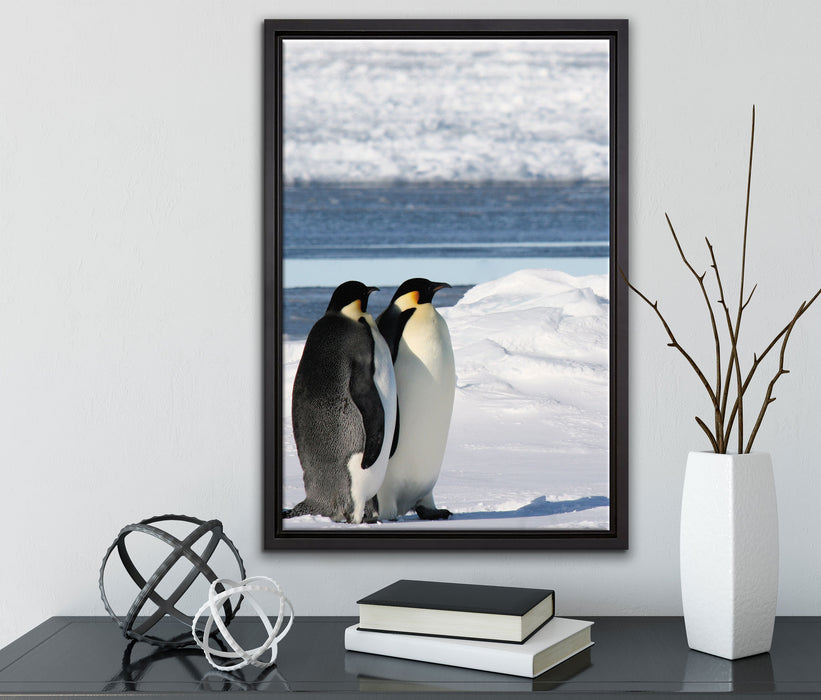 Kaiserpinguine auf Leinwandbild gerahmt mit Kirschblüten