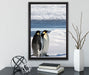 Kaiserpinguine auf Leinwandbild gerahmt mit Kirschblüten