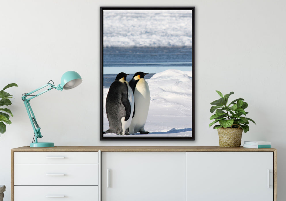 Kaiserpinguine auf Leinwandbild gerahmt verschiedene Größen im Wohnzimmer