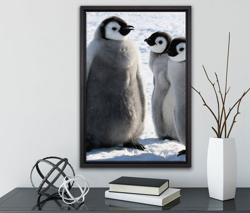 drei Kaiserpinguin-Küken auf Leinwandbild gerahmt mit Kirschblüten