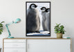 drei Kaiserpinguin-Küken auf Leinwandbild gerahmt verschiedene Größen im Wohnzimmer