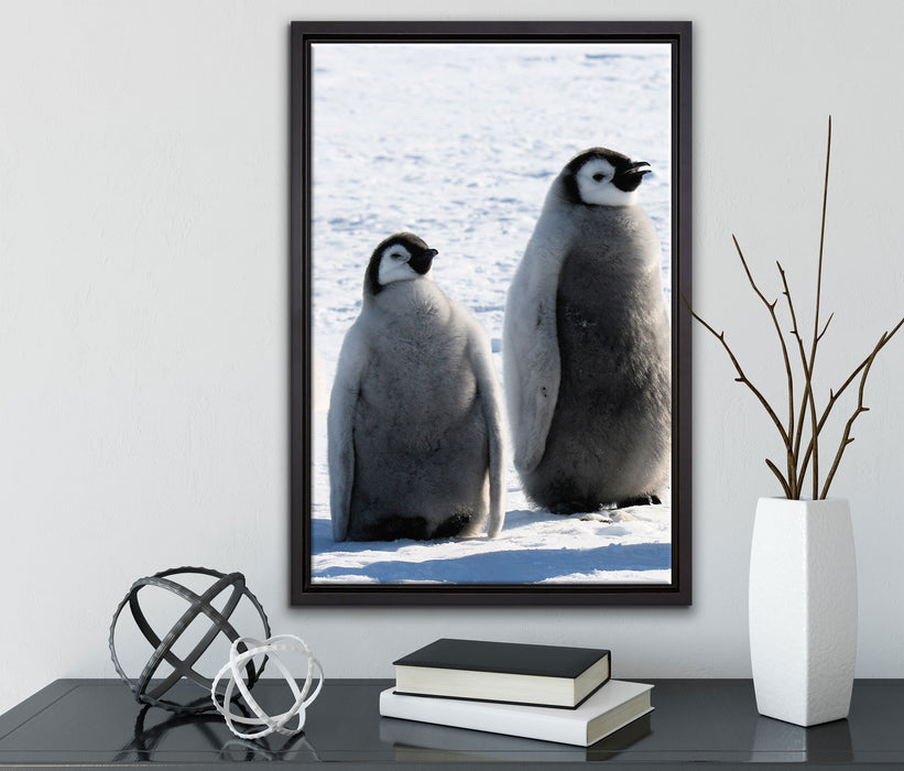 Kaiserpinguin-Küken auf Leinwandbild gerahmt mit Kirschblüten