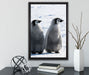 Kaiserpinguin-Küken auf Leinwandbild gerahmt mit Kirschblüten