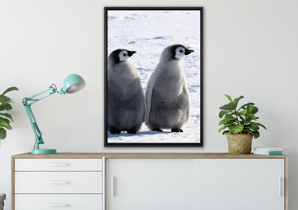Kaiserpinguin-Küken auf Leinwandbild gerahmt verschiedene Größen im Wohnzimmer