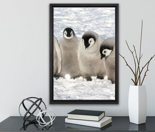 Kaiserpinguin-Küken auf Leinwandbild gerahmt mit Kirschblüten