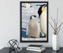 Kaiserpinguin mit Küken auf Leinwandbild gerahmt mit Kirschblüten