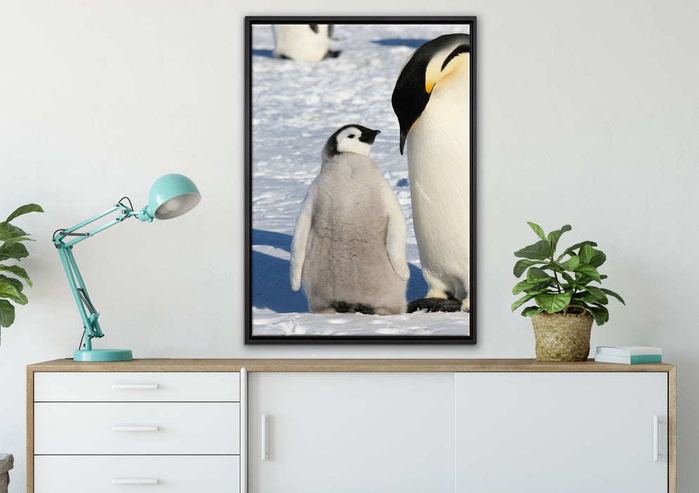 Kaiserpinguin mit Küken auf Leinwandbild gerahmt verschiedene Größen im Wohnzimmer