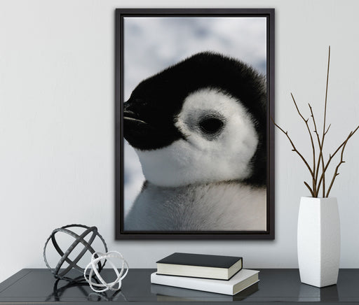 drei Kaiserpinguin-Küken auf Leinwandbild gerahmt mit Kirschblüten