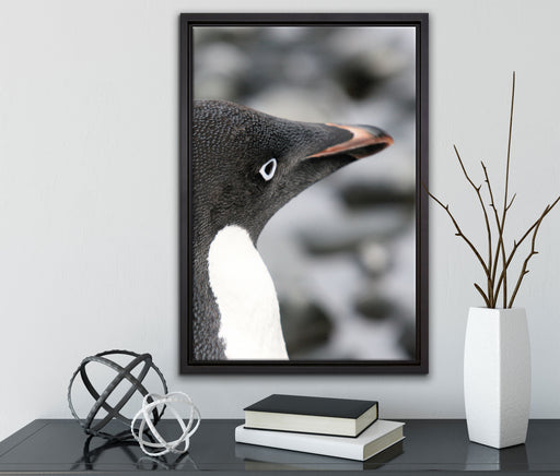 niedlicher Adeliepinguin auf Leinwandbild gerahmt mit Kirschblüten