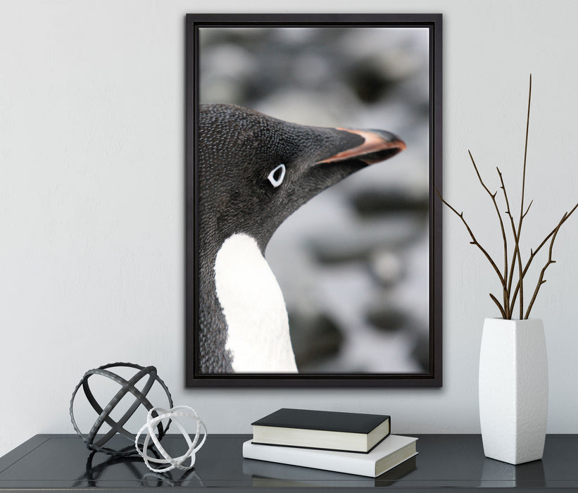 niedlicher Adeliepinguin auf Leinwandbild gerahmt mit Kirschblüten