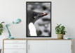 niedlicher Adeliepinguin auf Leinwandbild gerahmt verschiedene Größen im Wohnzimmer