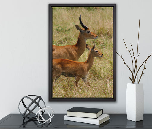 Dorkasgazelle mit Jungtier auf Leinwandbild gerahmt mit Kirschblüten