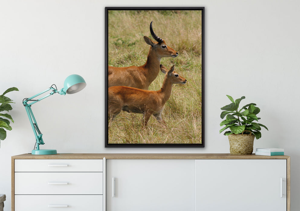 Dorkasgazelle mit Jungtier auf Leinwandbild gerahmt verschiedene Größen im Wohnzimmer