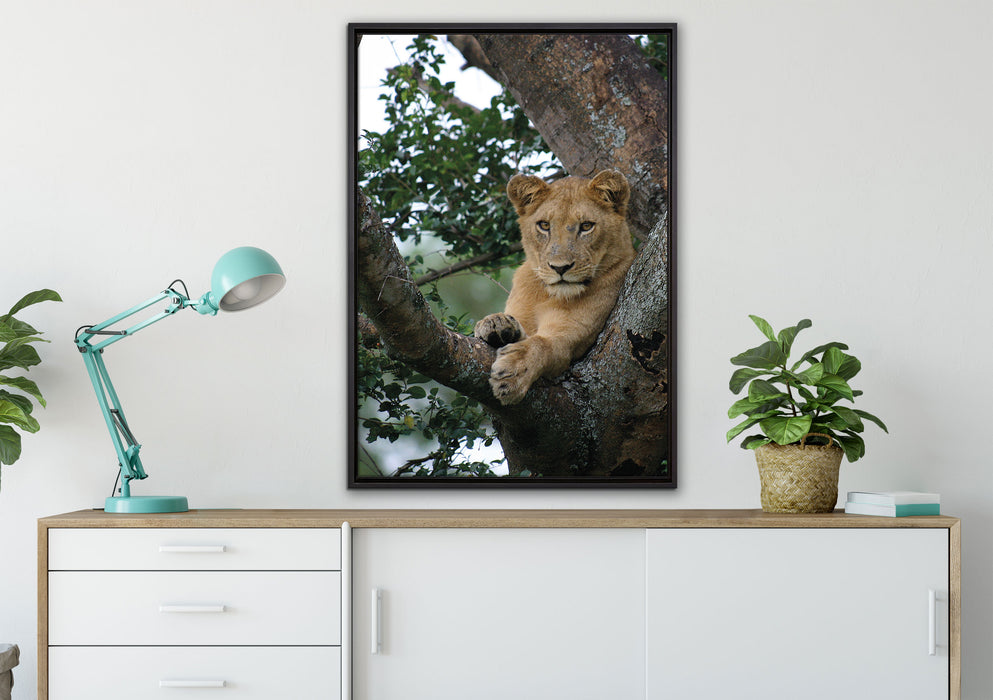 schöne Löwin auf Baum auf Leinwandbild gerahmt verschiedene Größen im Wohnzimmer