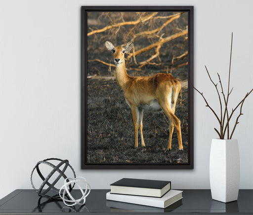 weibliche Gazelle mit Jungtier auf Leinwandbild gerahmt mit Kirschblüten