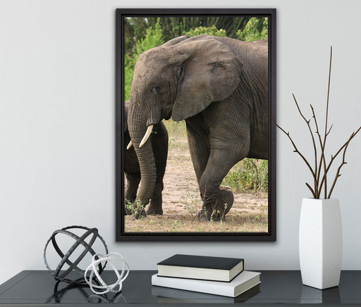 Elefantenkuh mit Jungtier auf Leinwandbild gerahmt mit Kirschblüten