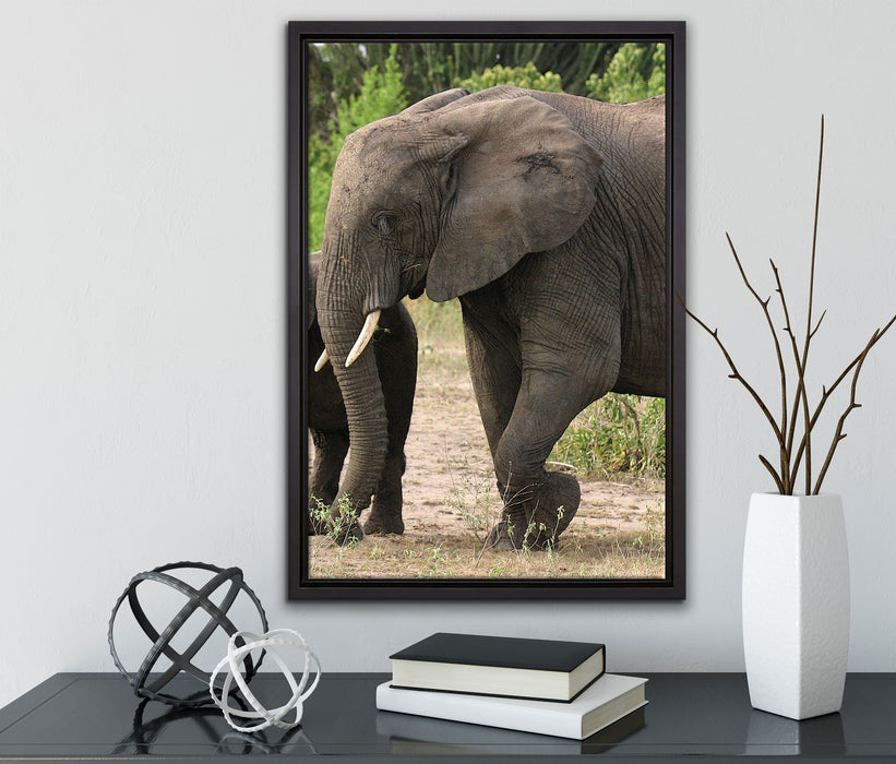 Elefantenkuh mit Jungtier auf Leinwandbild gerahmt mit Kirschblüten