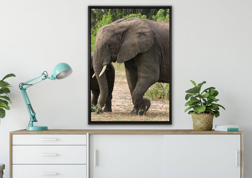 Elefantenkuh mit Jungtier auf Leinwandbild gerahmt verschiedene Größen im Wohnzimmer