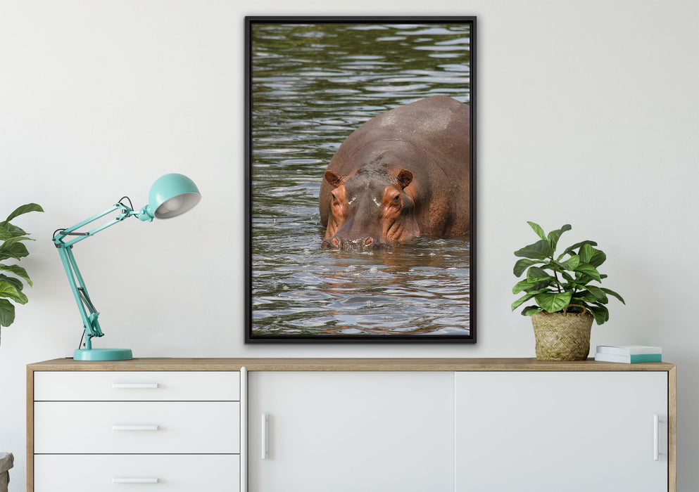 zwei Flusspferde im Wasser auf Leinwandbild gerahmt verschiedene Größen im Wohnzimmer