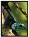 Agama auf Baum Ast auf Leinwandbild gerahmt Größe 80x60