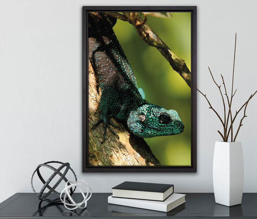 Agama auf Baum Ast auf Leinwandbild gerahmt mit Kirschblüten