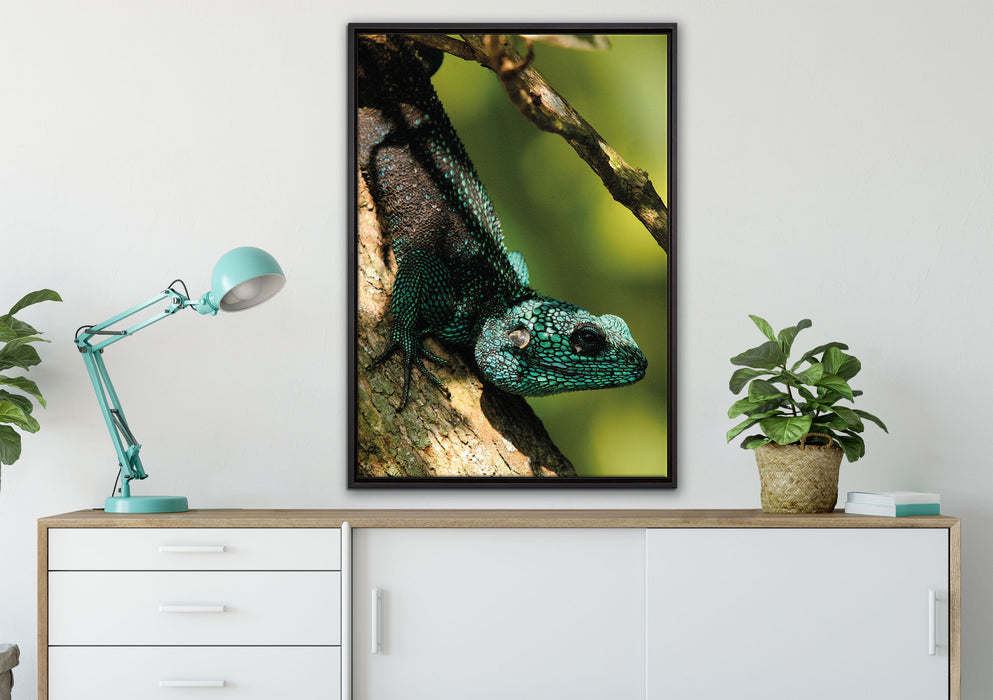 Agama auf Baum Ast auf Leinwandbild gerahmt verschiedene Größen im Wohnzimmer