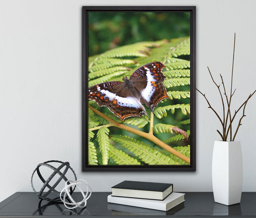 Schmetterling auf Farnblatt auf Leinwandbild gerahmt mit Kirschblüten