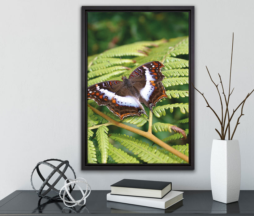 Schmetterling auf Farnblatt auf Leinwandbild gerahmt mit Kirschblüten