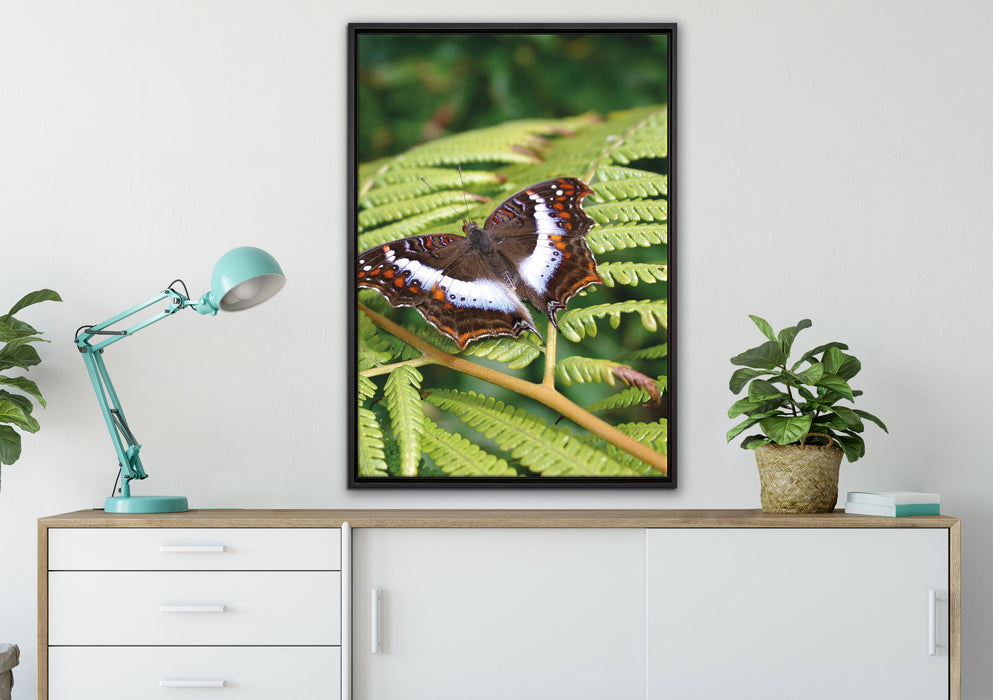 Schmetterling auf Farnblatt auf Leinwandbild gerahmt verschiedene Größen im Wohnzimmer