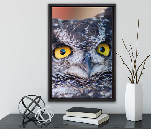 hübsche Waldohreule auf Leinwandbild gerahmt mit Kirschblüten