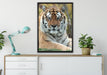 schöner Tiger auf Wiese auf Leinwandbild gerahmt verschiedene Größen im Wohnzimmer