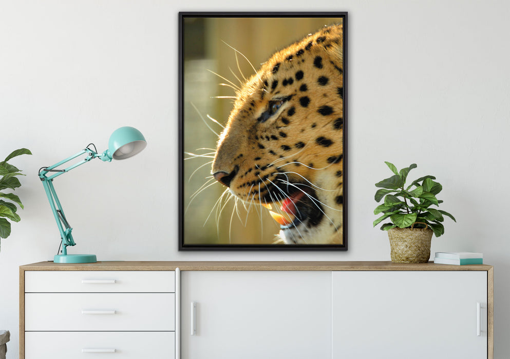 brüllender Leopard auf Leinwandbild gerahmt verschiedene Größen im Wohnzimmer