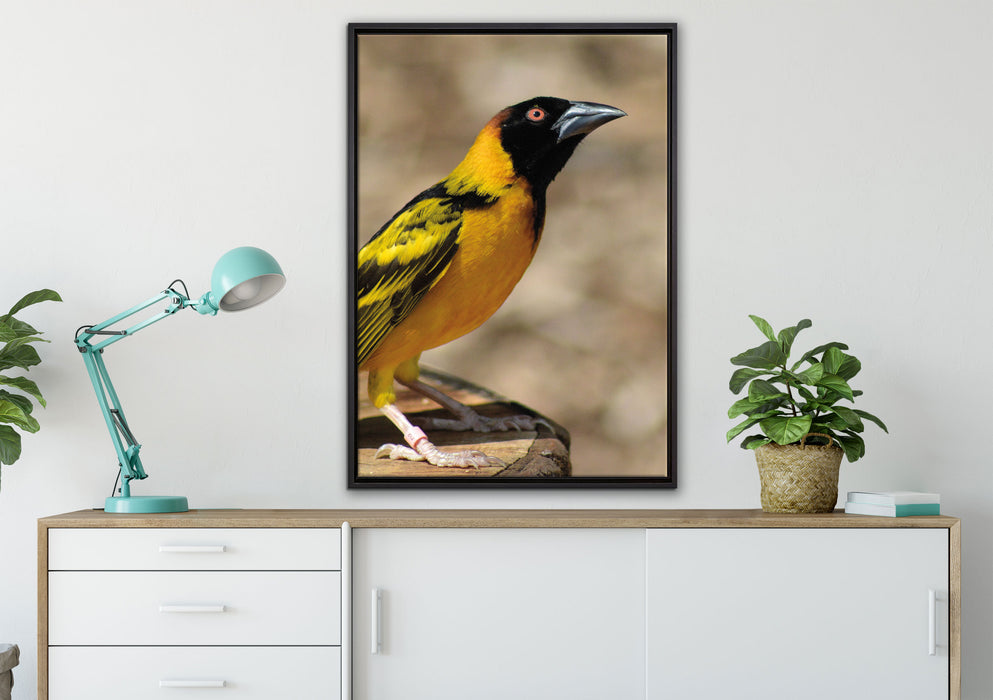 prächtiger gelber Star auf Leinwandbild gerahmt verschiedene Größen im Wohnzimmer