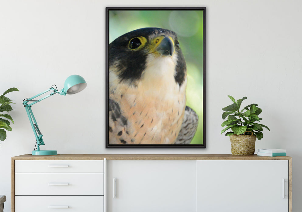 schöner grauer Adler auf Leinwandbild gerahmt verschiedene Größen im Wohnzimmer