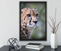 bildschöner Gepard auf Leinwandbild gerahmt mit Kirschblüten