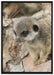 junges Erdmännchen auf Baum auf Leinwandbild gerahmt Größe 100x70